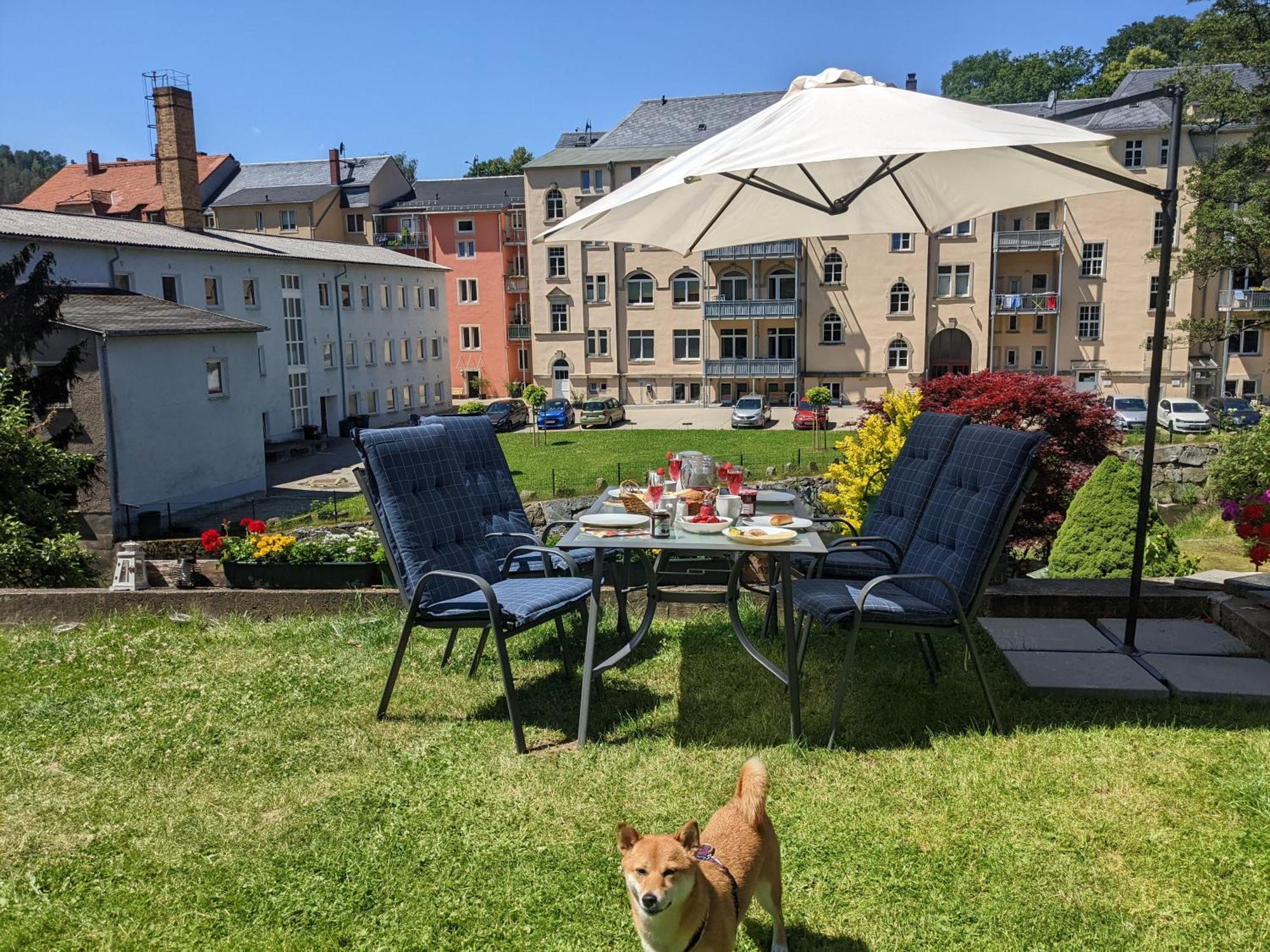 F3 Urlaubsmagie - Pool, Garten & Terrasse - 4P Sebnitz Bagian luar foto